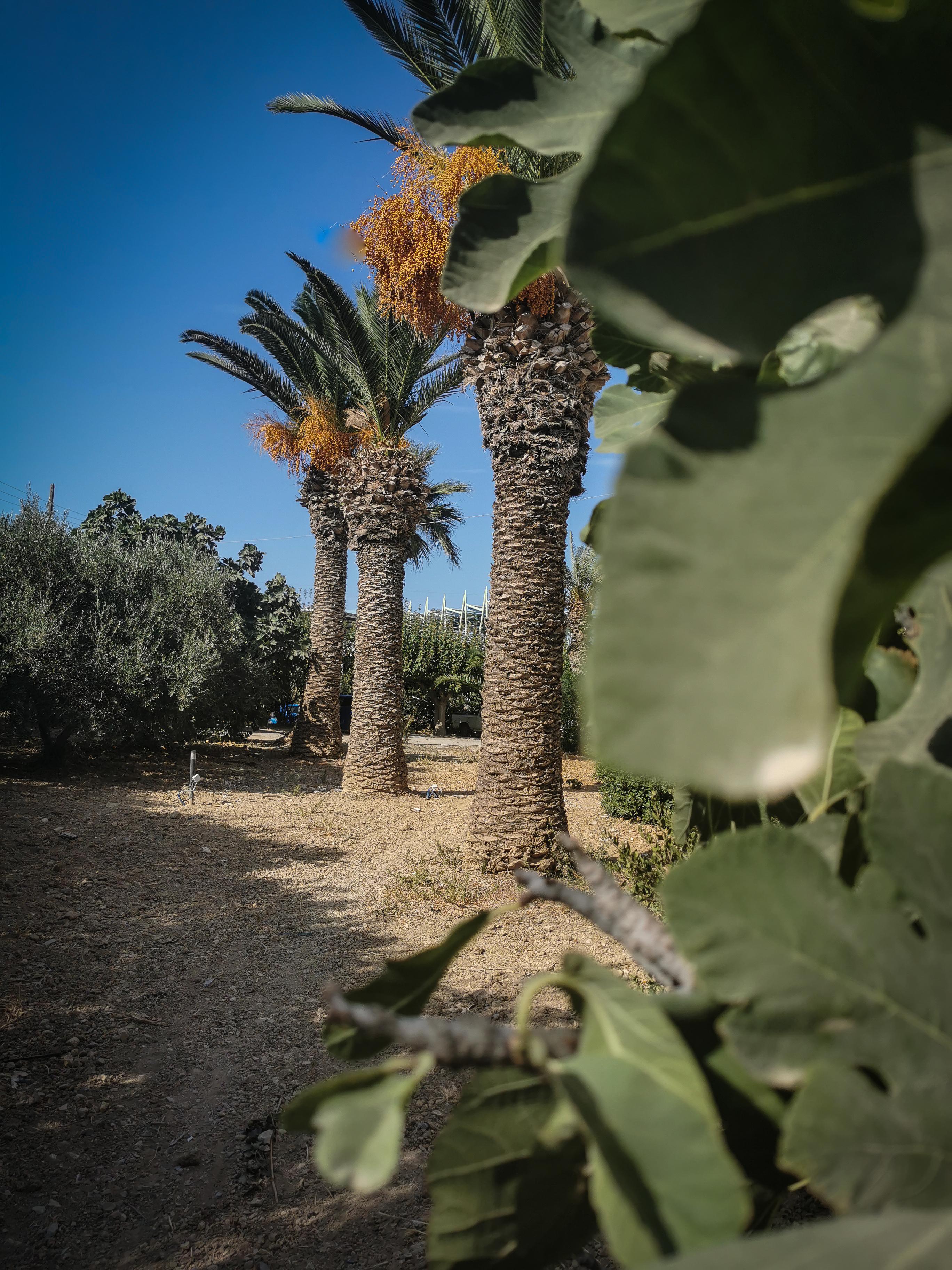 Gorgona Hotel Amoudara  Bagian luar foto